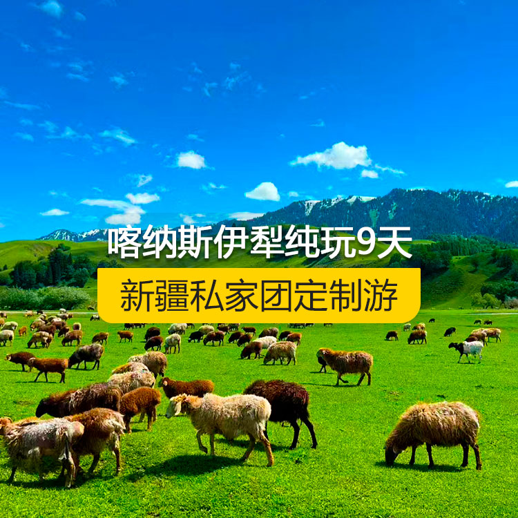 【新疆·北疆·私家團(tuán)定制游·9天8晚】北疆喀納斯伊犁純玩9日游(景點(diǎn)包含:S21沙漠公路+五彩灘+喀納斯+禾木村+烏爾禾魔鬼城+賽里木湖+果子溝(途觀)+伊犁那拉提空中草原+巴音布魯克草原+獨(dú)庫公路+唐布拉+獨(dú)山子大峽谷+國際大巴扎)產(chǎn)品編號 : 11339
